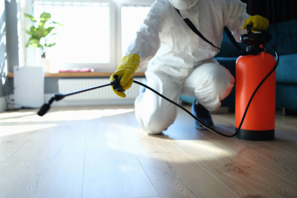 Reliable Hoarding Cleanup contractor in Kingston, NH by Trauma Clean Pros